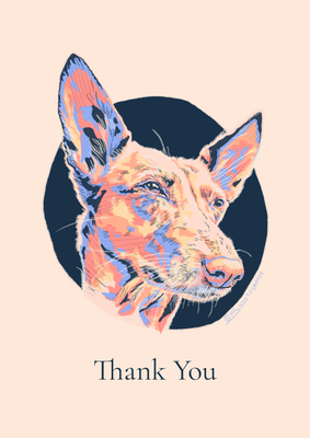 Podenco Portrait