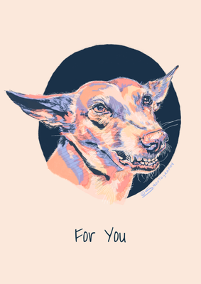 Podenco Playtime