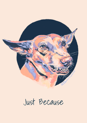 Podenco Playtime