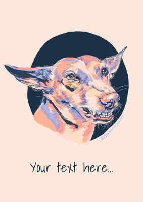 Podenco Playtime