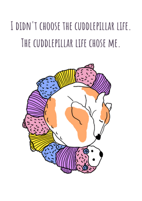 Cuddlepillar