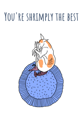 Shrimply the Best