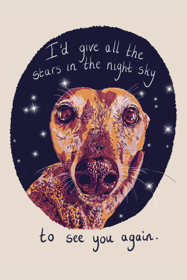 All The Stars