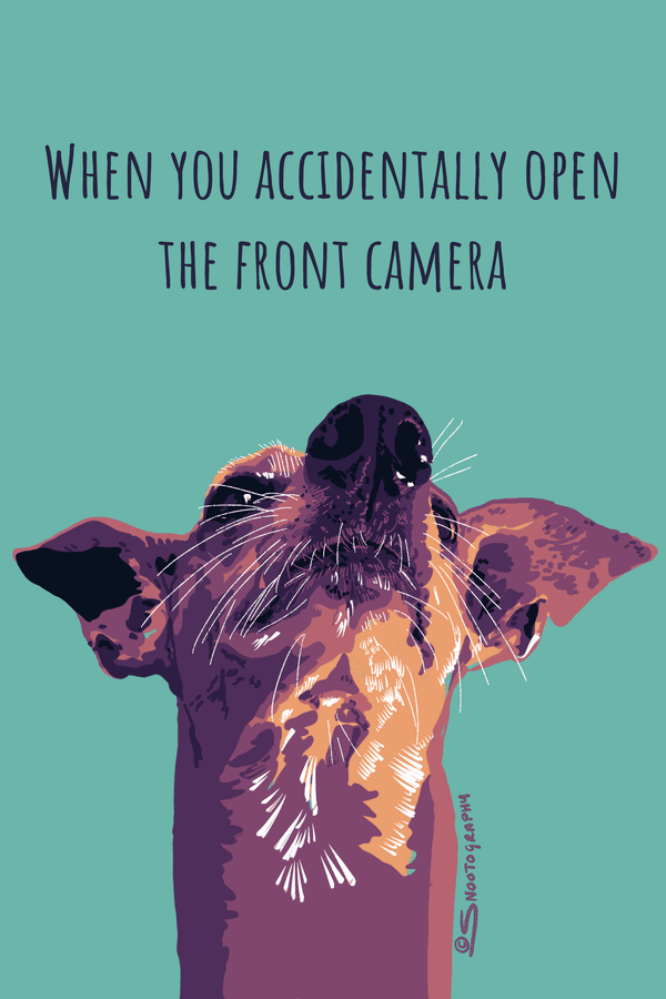 Front Camera
