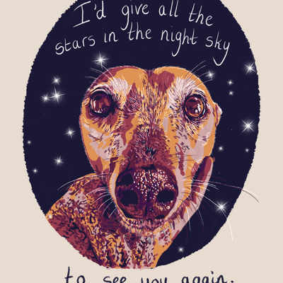 All The Stars