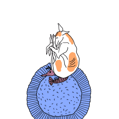 Shrimply the Best