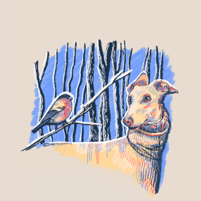 Galga & Bullfinch